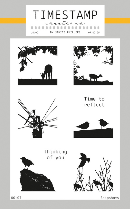 Clear Stamp set for crafting by Janice Phillips