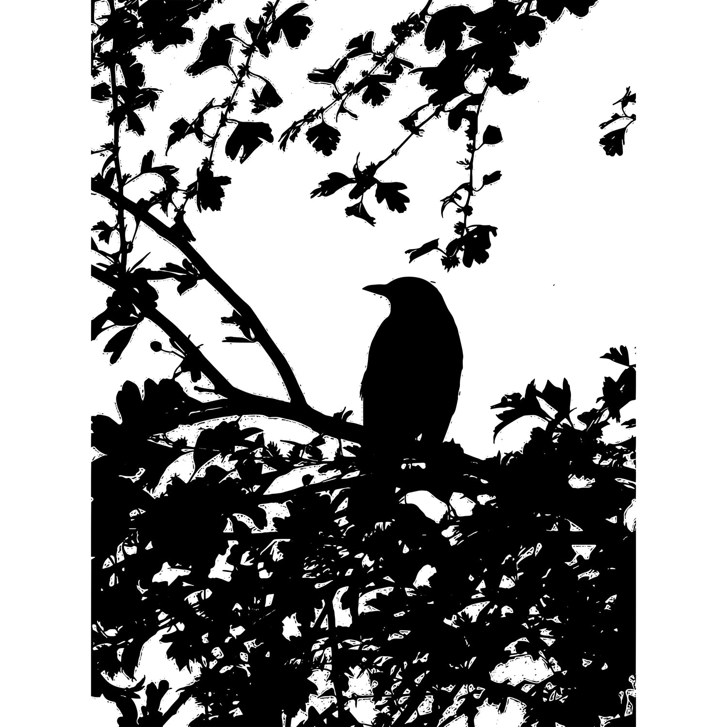 Bird Themed Stamp Sets original designs by Janice Phillips