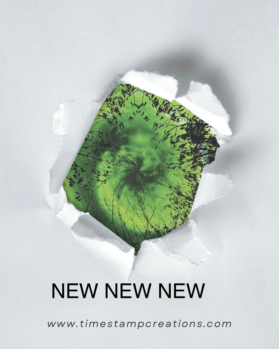 Brand NEW latest collection