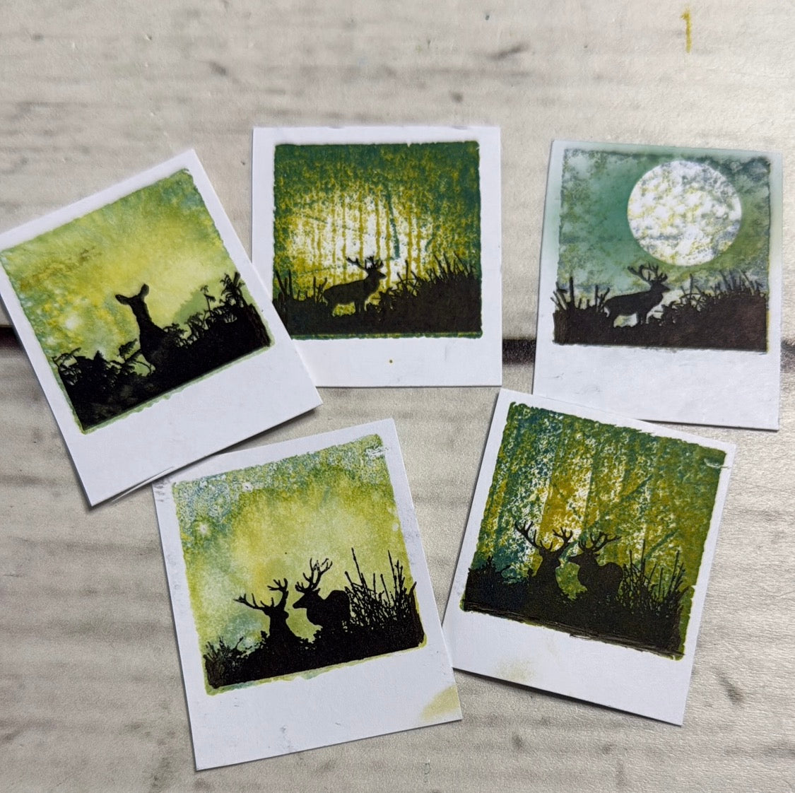 Nature Inspired A6 Stamp sets original designs by Janice Phillips ...