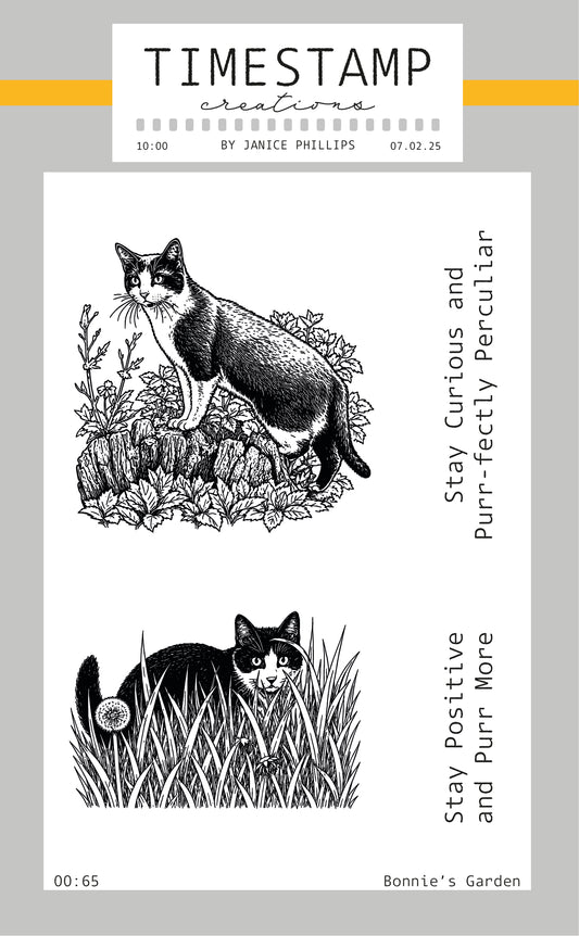 Illustration of cats in a garden with text on a light gray background