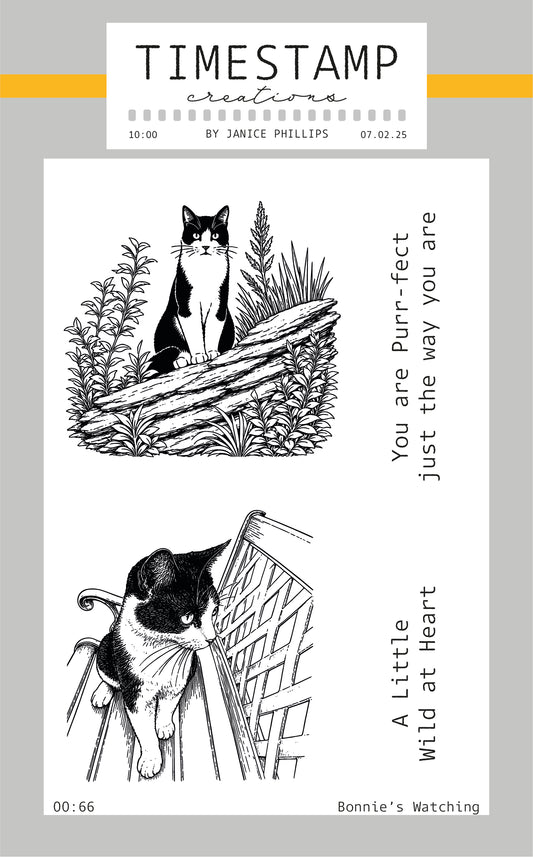 Two black and white illustrations of a cat and a dog with text on a light gray background.