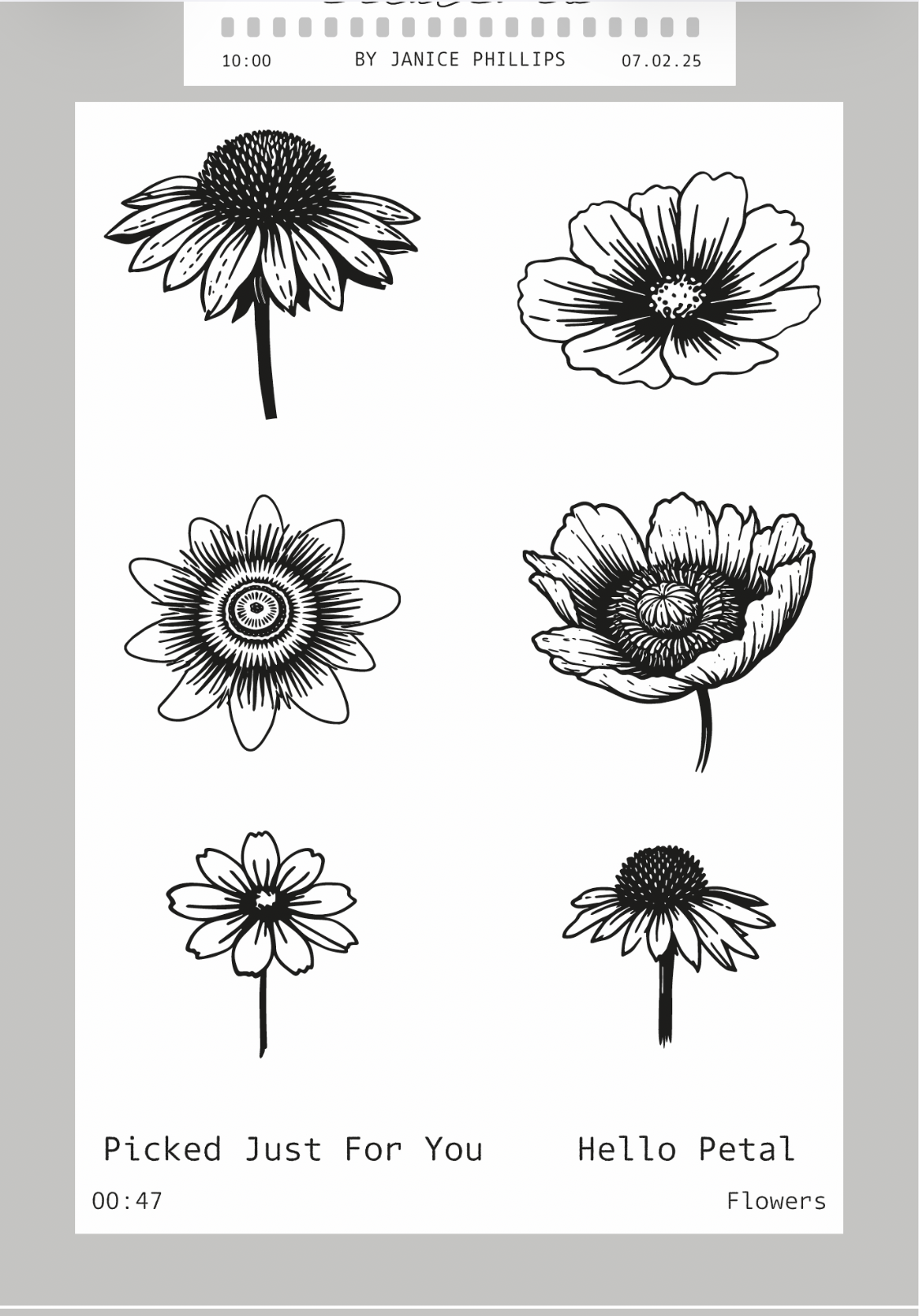 Black and white floral illustrations on a white background with text overlay.