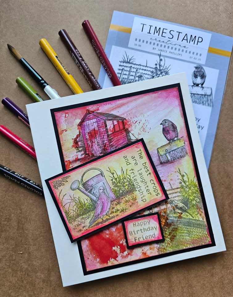 card showing artwork of Robin and a dove with shed in background down an allotment
