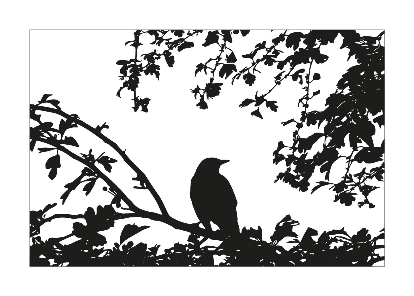 Silhouette of a bird on a branch with leaves against a white background