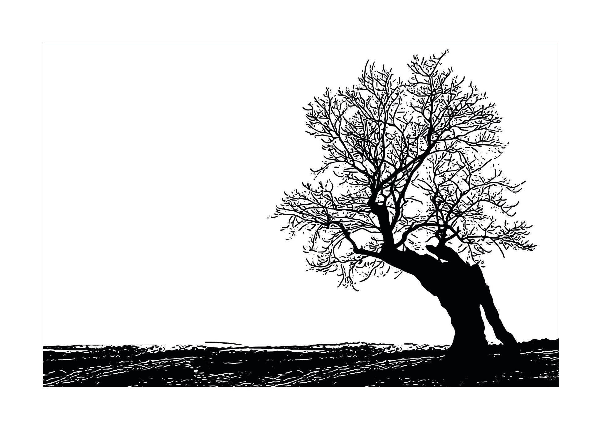 Black silhouette of a tree on a white background
