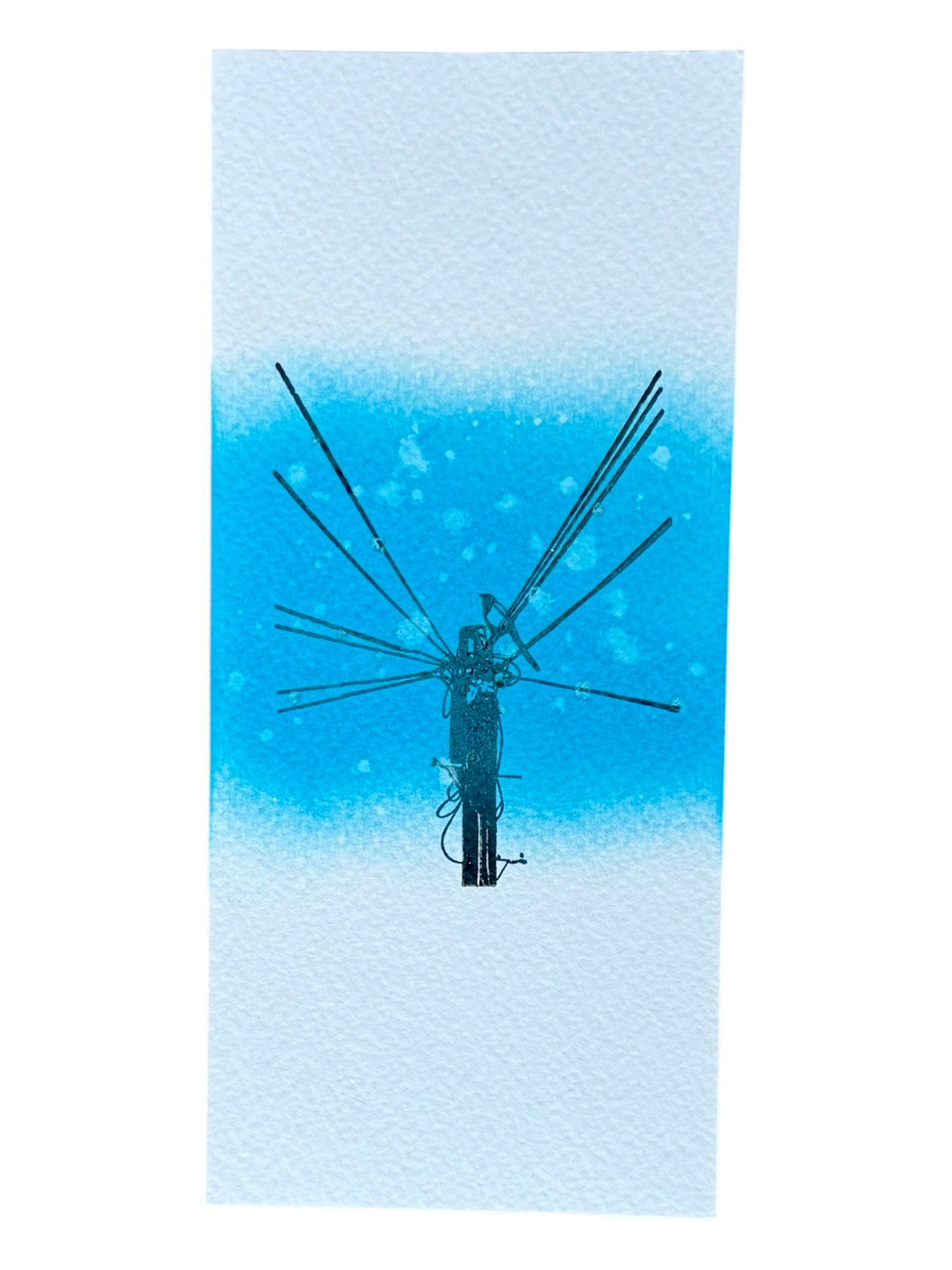 Bird on a telegraph pole