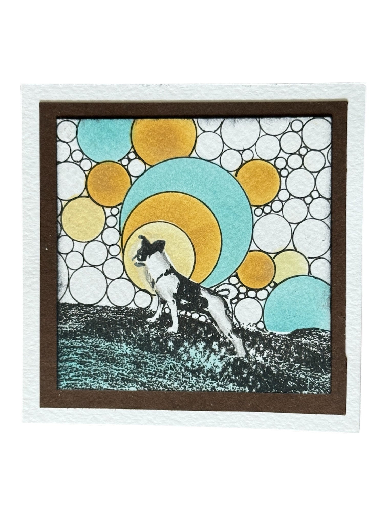 dog on a hill with bubbles