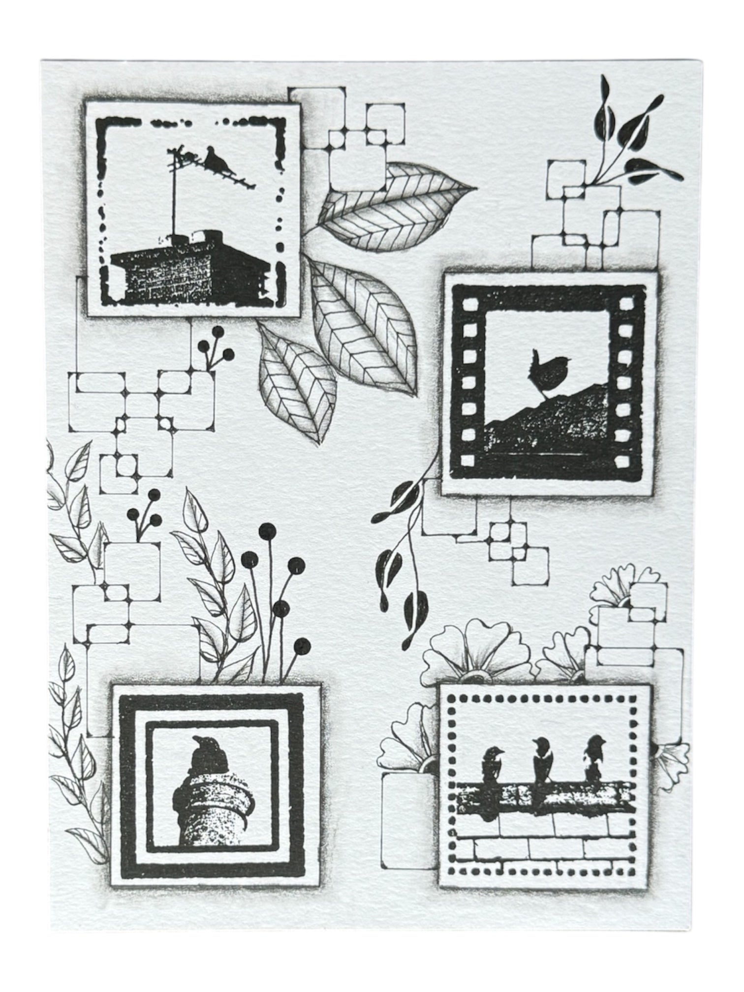 Birds in frames