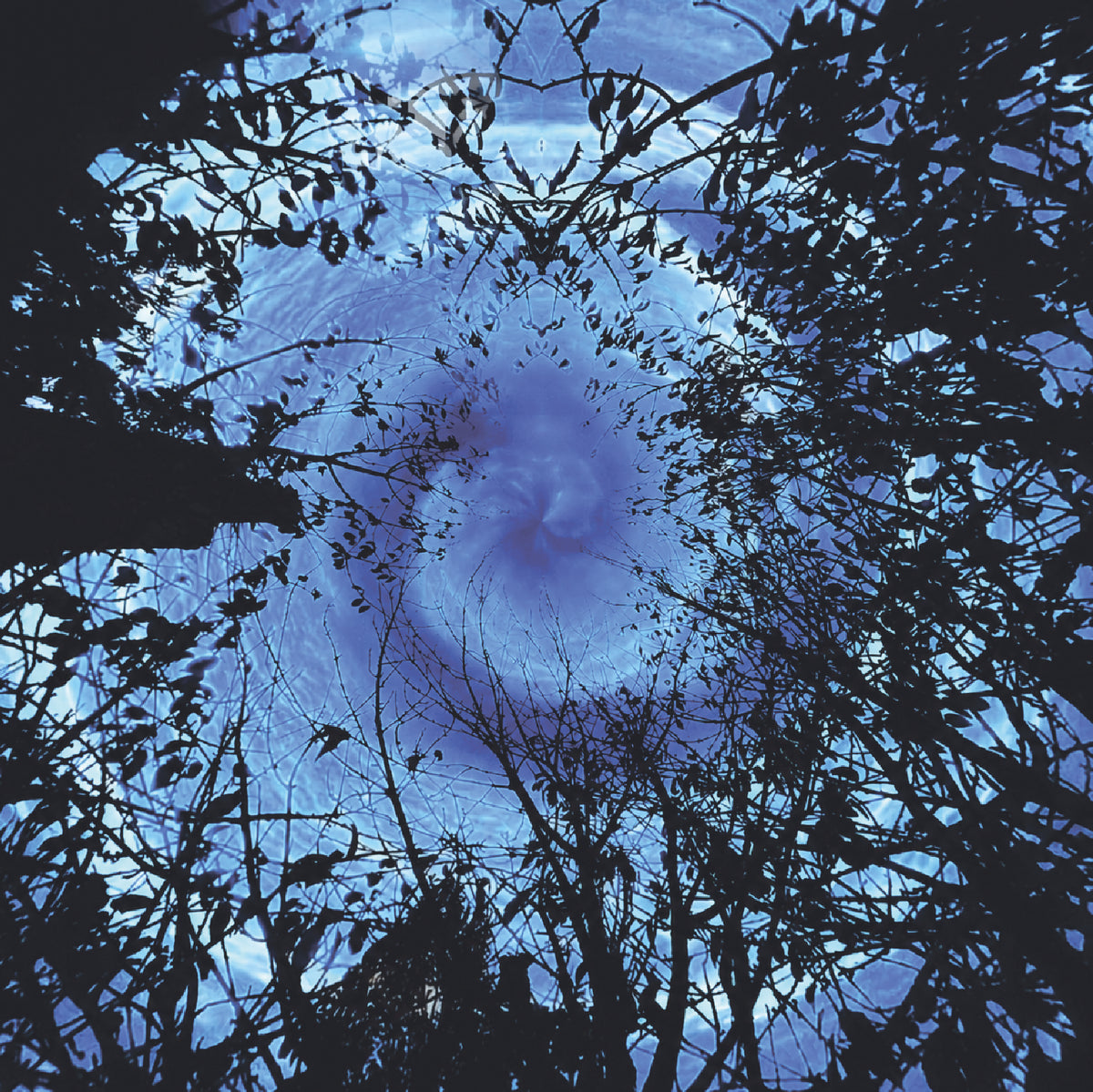 A low-angle upward photograph looking through dark tree branches and silhouettes toward a swirling blue vortex or storm center in the sky.