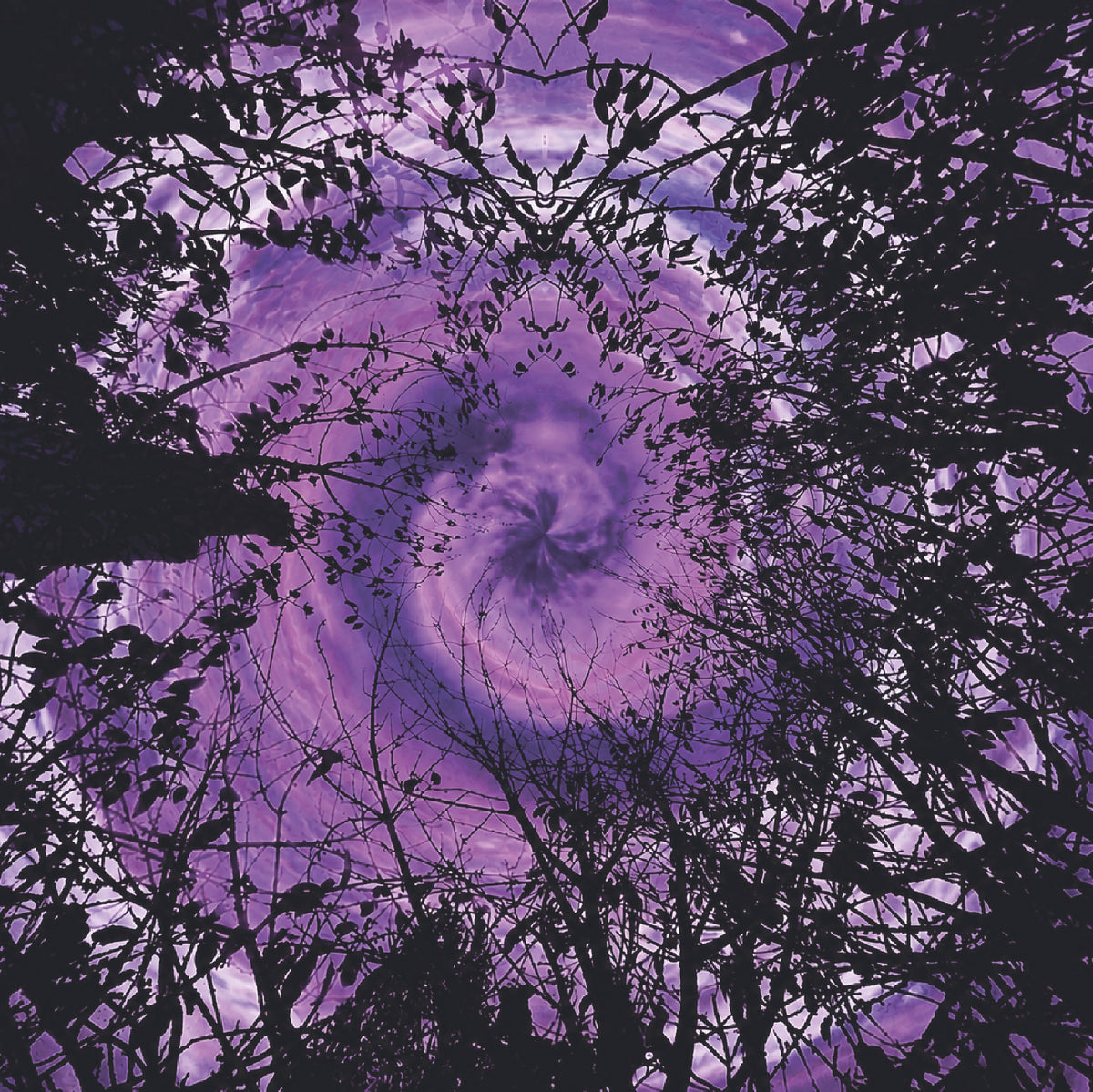 A surreal, stylized nature photograph looking upward through dark tree branches and leaves toward a swirling purple vortex in the sky.