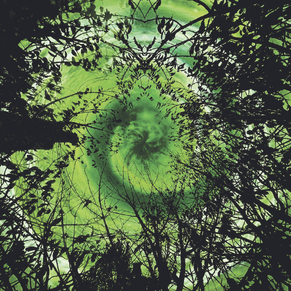 A low-angle photograph looking up through dark tree branches and leaves toward a swirling green mist or vortex in the sky.